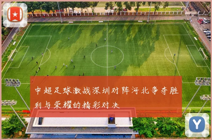 中超足球激战深圳对阵河北争夺胜利与荣耀的精彩对决