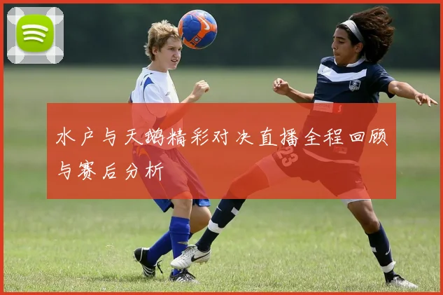 水户与天鹅精彩对决直播全程回顾与赛后分析