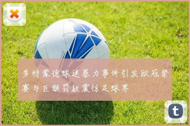 多特蒙德球迷暴力事件引发欧冠禁赛与巨额罚款震惊足球界
