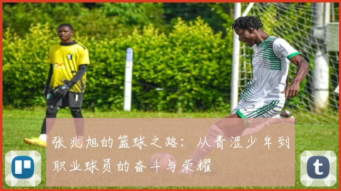 张兆旭的篮球之路：从青涩少年到职业球员的奋斗与荣耀