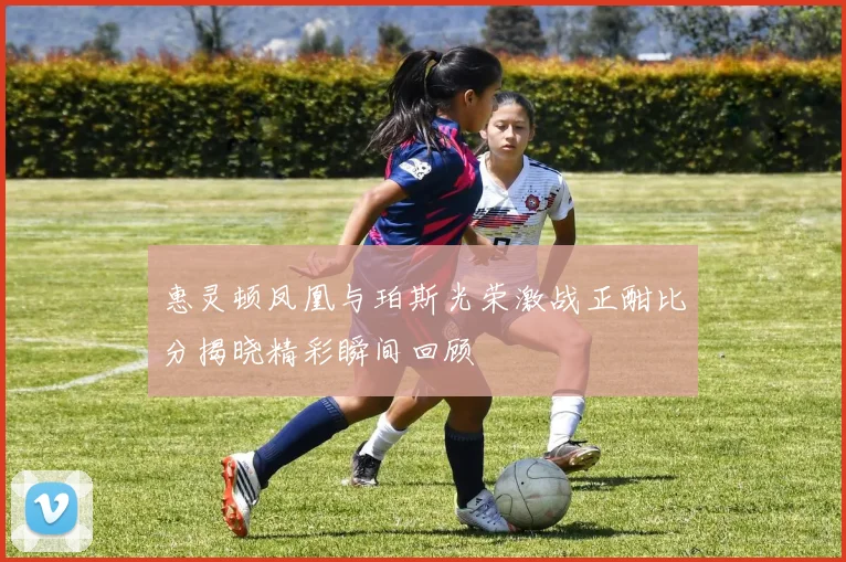 惠灵顿凤凰与珀斯光荣激战正酣比分揭晓精彩瞬间回顾