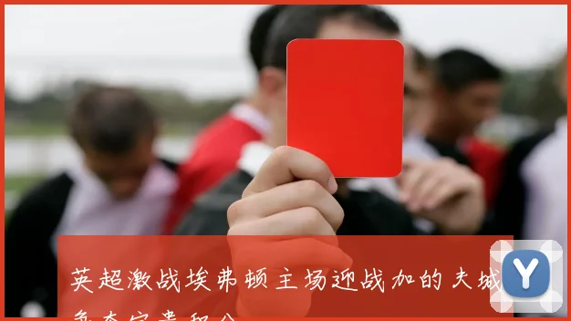 英超激战埃弗顿主场迎战加的夫城争夺宝贵积分
