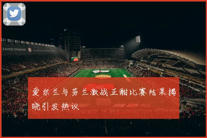 爱尔兰与芬兰激战正酣比赛结果揭晓引发热议