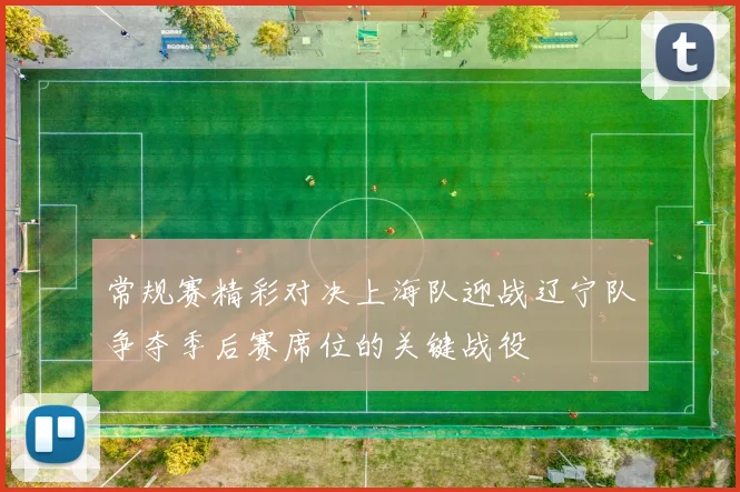 常规赛精彩对决上海队迎战辽宁队争夺季后赛席位的关键战役