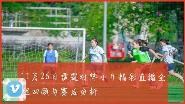 11月26日雷霆对阵小牛精彩直播全程回顾与赛后分析