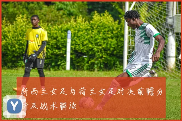 新西兰女足与荷兰女足对决前瞻分析及战术解读