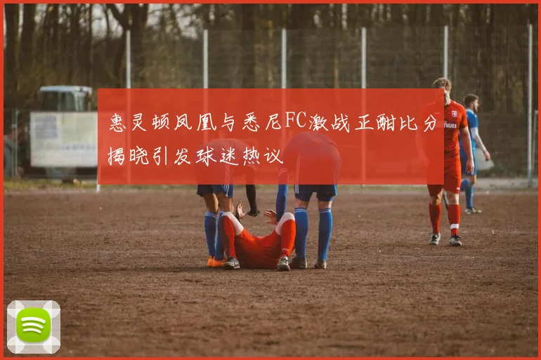 惠灵顿凤凰与悉尼FC激战正酣比分揭晓引发球迷热议