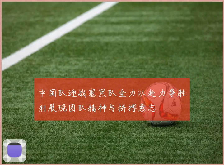 中国队迎战塞黑队全力以赴力争胜利展现团队精神与拼搏意志